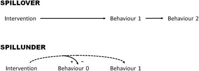 Looking at Spillovers in the Mirror: Making a Case for “Behavioral Spillunders”